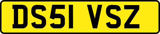 DS51VSZ