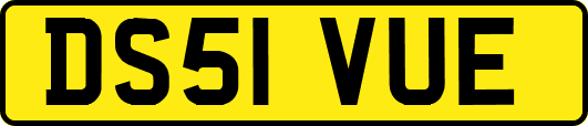 DS51VUE