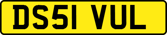 DS51VUL