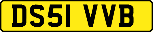 DS51VVB