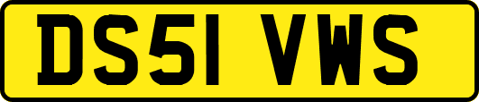 DS51VWS