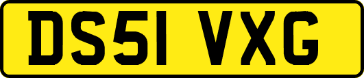 DS51VXG