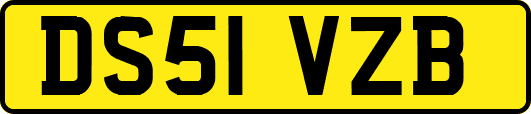 DS51VZB