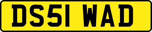 DS51WAD