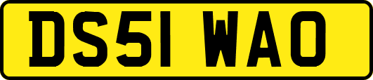 DS51WAO