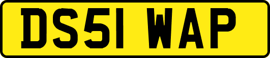 DS51WAP