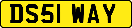 DS51WAY