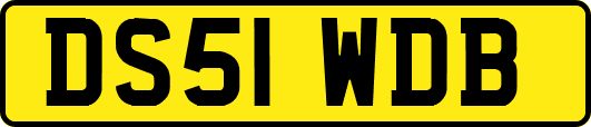 DS51WDB