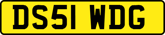 DS51WDG
