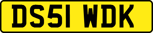 DS51WDK