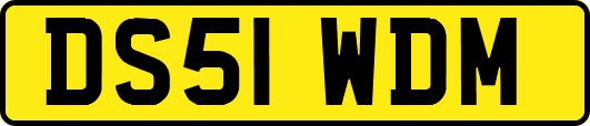 DS51WDM