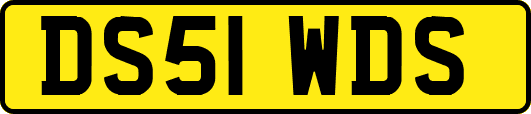 DS51WDS