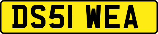 DS51WEA