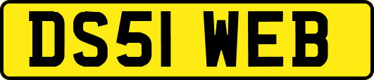 DS51WEB