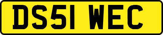 DS51WEC