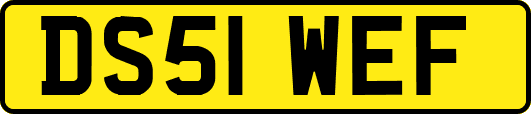 DS51WEF