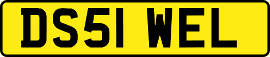 DS51WEL