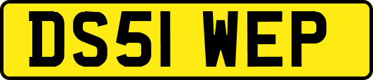 DS51WEP