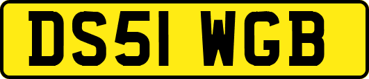 DS51WGB