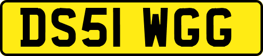 DS51WGG