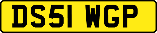 DS51WGP