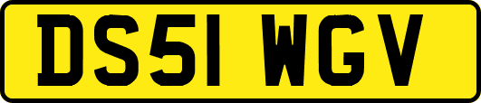 DS51WGV