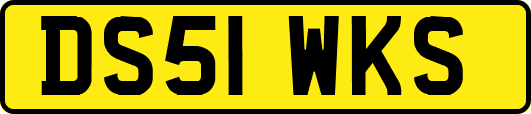 DS51WKS