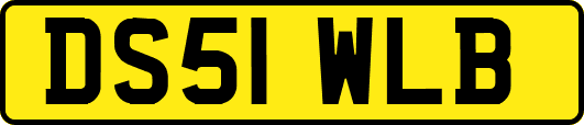 DS51WLB