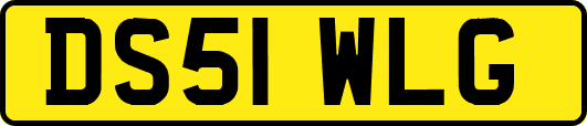 DS51WLG