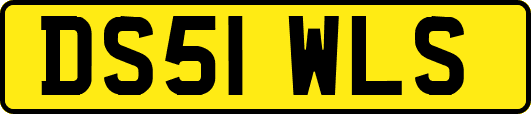 DS51WLS