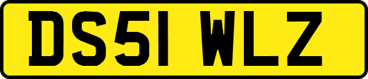 DS51WLZ