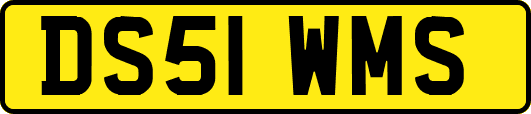 DS51WMS