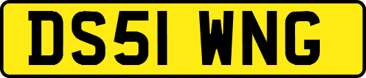 DS51WNG