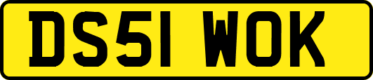DS51WOK