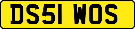 DS51WOS