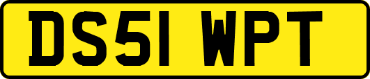 DS51WPT