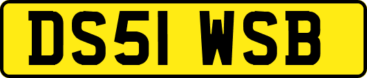 DS51WSB