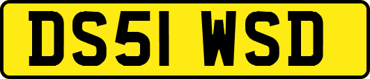 DS51WSD