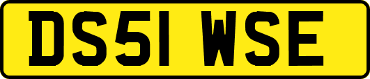 DS51WSE