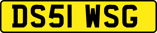 DS51WSG