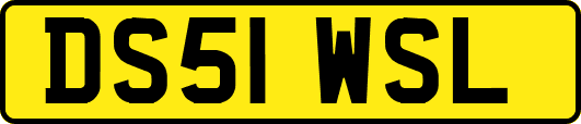 DS51WSL