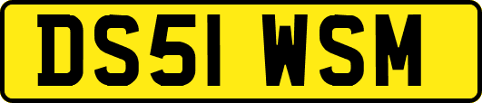 DS51WSM