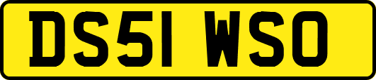 DS51WSO