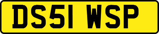 DS51WSP