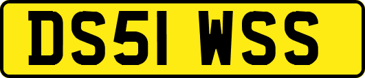 DS51WSS
