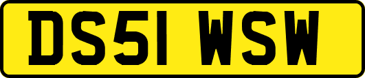 DS51WSW