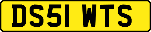 DS51WTS