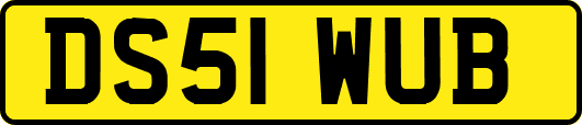 DS51WUB