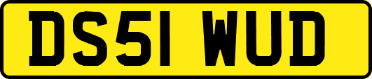 DS51WUD