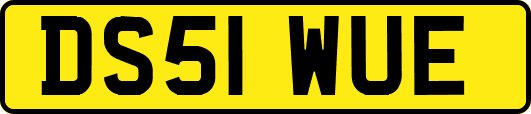 DS51WUE